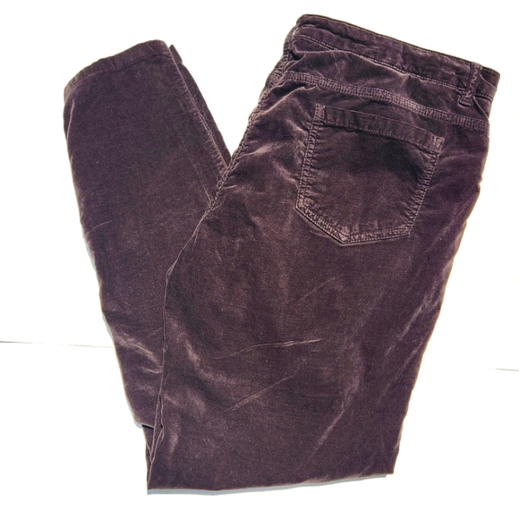 J.McLaughlin Watson skinny Velvet Pants in Dark Olive- Women's Size 14 - Picture 5 of 6